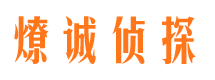 轮台市调查公司